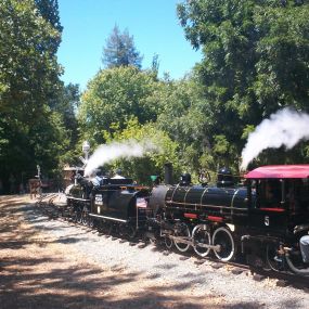 Bild von Billy Jones Wildcat Railroad