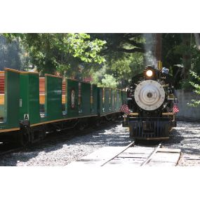 Bild von Billy Jones Wildcat Railroad