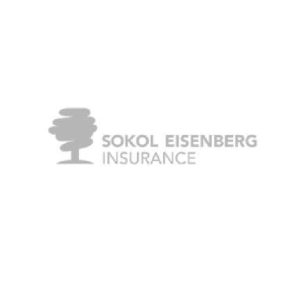 Logotyp från Sokol Eisenberg Insurance