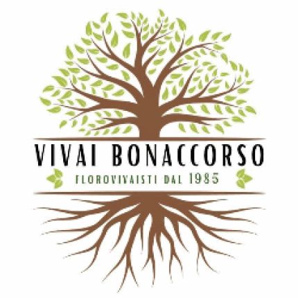 Logo da Vivai Bonaccorso