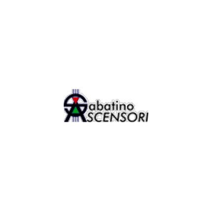 Logo van Sabatino Ascensori