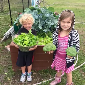 Preschool students tending the garden on campus