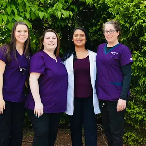 Advanced Family Dentistry Nashua
Team
