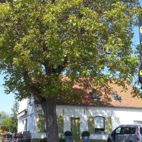 Een rustige, kind- en diervriendelijke *** camping: op de flank van de Kemmelberg in
hartje Heuvelland, op 10 km van Ieper.