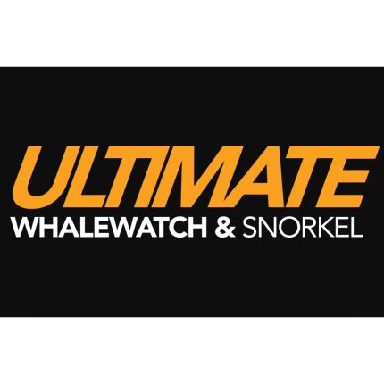 Logo da Ultimate Whale Watch & Snorkel