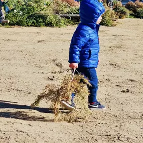 Annual 2024 Magical Forest Event in Windsor yesterday! We love sponsoring this FUN event where families come out to build forts with old Christmas trees.