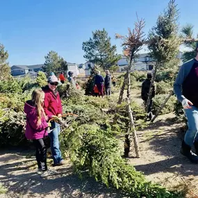 Annual 2024 Magical Forest Event in Windsor yesterday! We love sponsoring this FUN event where families come out to build forts with old Christmas trees.