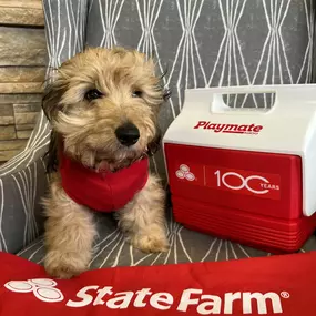 Heidi Washburn - State Farm Insurance Agent