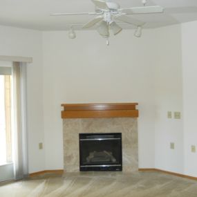 Woodsview Apartments Fireplace in living room