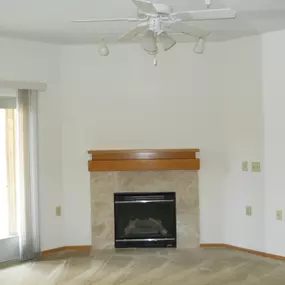 Woodsview Apartments Fireplace in living room