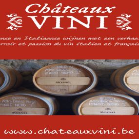 Bild von Châteaux Vini