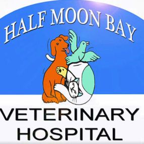 Welcome to VCA Half Moon Bay Animal Hospital!