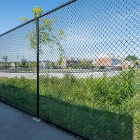 Black Coated Chain Link Fence