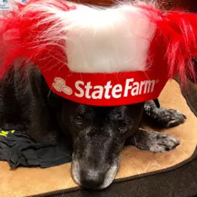 State Farm Insurance Agent Chris Beck Lawrenceville, GA