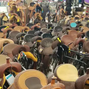 You need a saddle? We have saddles.