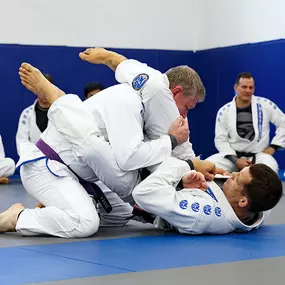 Bild von Morumbi Jiu Jitsu & Fitness Academy - Thousand Oaks