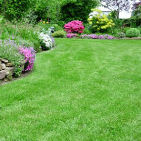 Lawn Fertilization and Care from Independent Lawn Services  in Livonia, MI