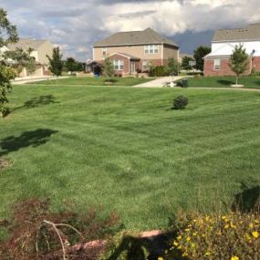 Michigan lawn treated by Independent Lawn Service