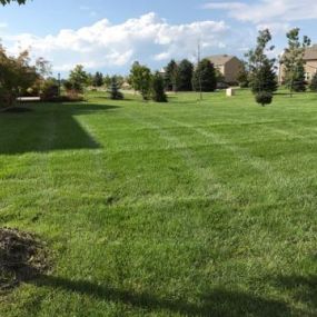 Michigan lawn treated by Independent Lawn Service