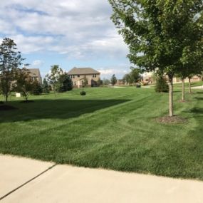Michigan lawn treated by Independent Lawn Service