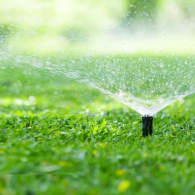 Lawn Sprinkler