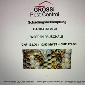 Bild von GROSS Pest Control GmbH