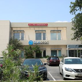 Bild von BluePearl Pet Hospital