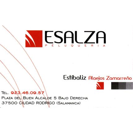 Logotipo de Peluquería  Esalza