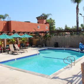 Stanford Inn & Suites - Pool