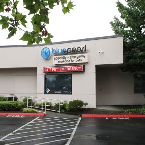 Bild von BluePearl Pet Hospital