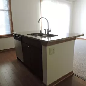 Cornerstone & Ravenna Apartment Kitchen island Sink