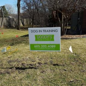 underground dog fence installation SD