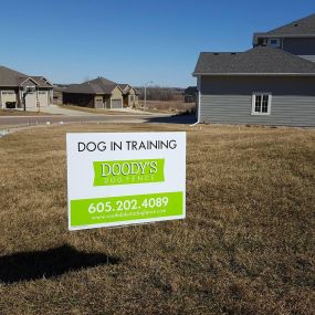 underground dog fence