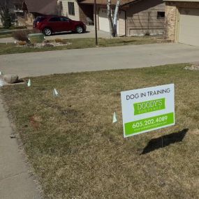 electric dog fence installation