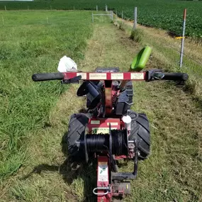 South Dakota Dog Fence Training