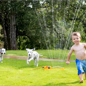 Your dogs will no longer run away when they're let outside in a fence-less yard. Doody's has proven techniques that will ensure a quick, gentle and most harmless adjustment for your dog. Before they know it, they'll be excited that you got them an underground fence! And you'll be excited about it too!