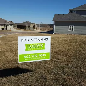 underground dog fence