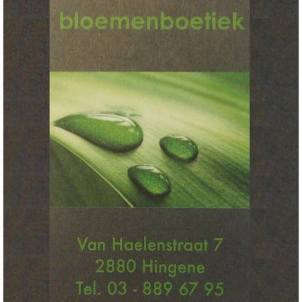 Logo de Bloemenboetiek hingene