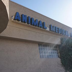 Welcome to VCA Animal Medical Center!