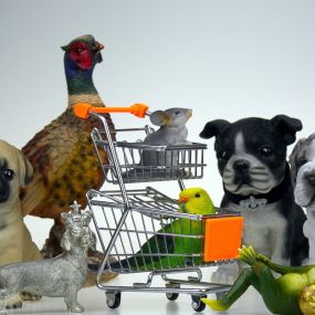 Bild von Critters Pet Shop