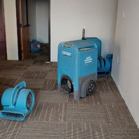 Bild von Carpet Cleaning, Inc.