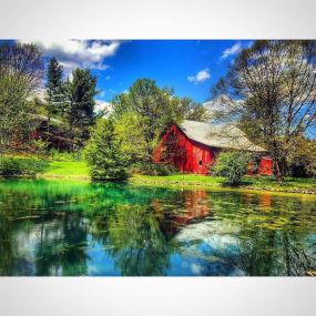 Maple Lane Farm