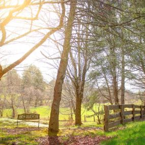 Maple Lane Farm