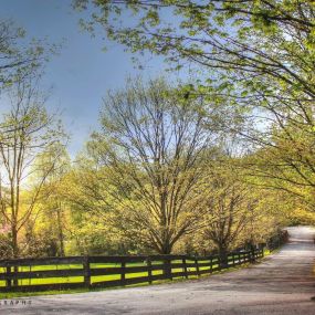 Maple Lane Farm