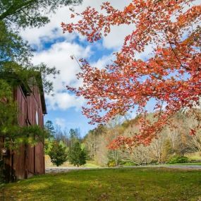 Maple Lane Farm