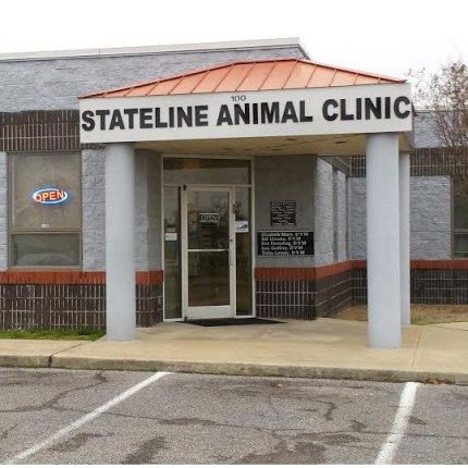 Logo from Stateline Animal Clinic