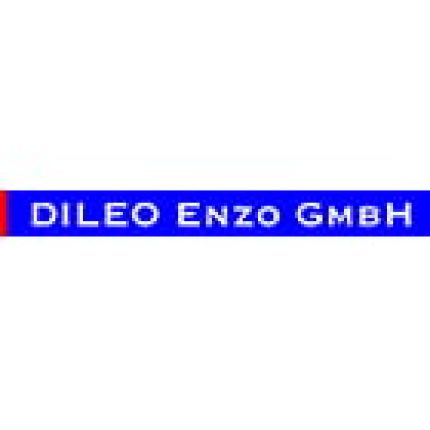 Logo van Dileo Enzo GmbH