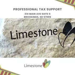 professional tax support