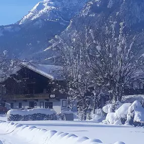 Restaurant & Camping Seehof am Reintalersee - Alois &  Irene Brunner