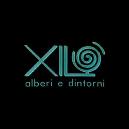 Logotipo de Xilo'